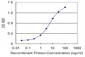 DCAMKL1 Antibody (monoclonal) (M03)